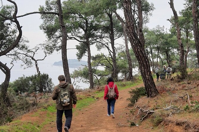 Istanbul Princes Islands Hiking & Trekking Tour With Local Hikers - Directions and Experience