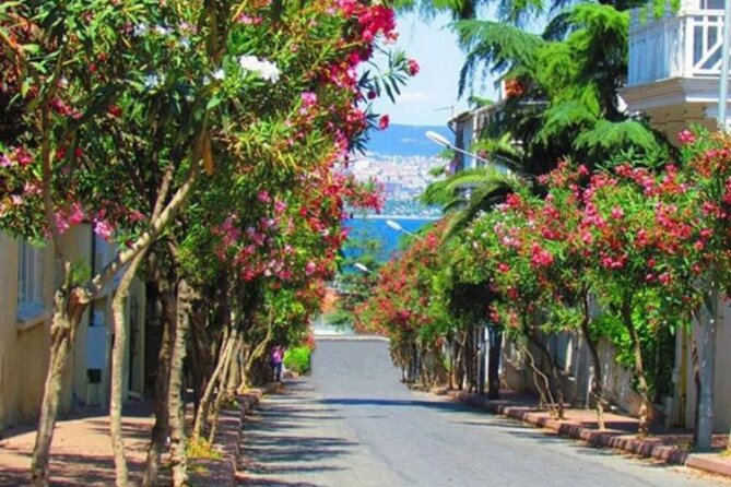 Istanbul Princess Island Tour Lunch Included - Booking Information