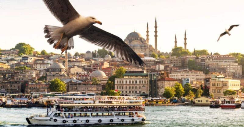 Istanbul: Private Bosphorus Cruise By Luxury Yacht - The Sum Up