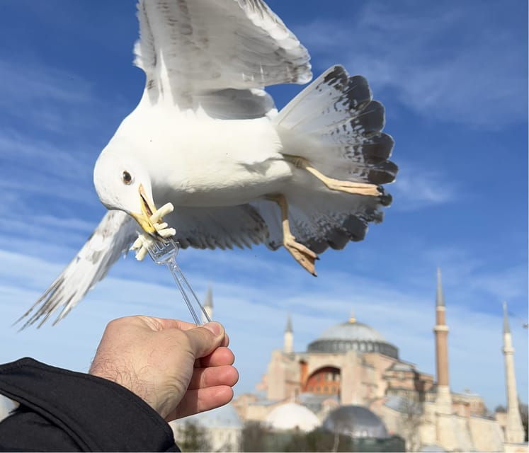 Istanbul: Private City Tour with Transportation - Discover Istanbul’s Highlights with a Private City Tour