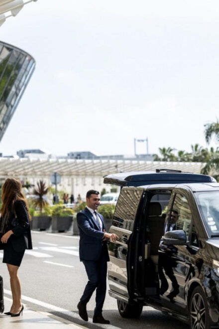 Istanbul Private OneWay Transfer: Airport-Hotel-Airport - Driver Qualifications