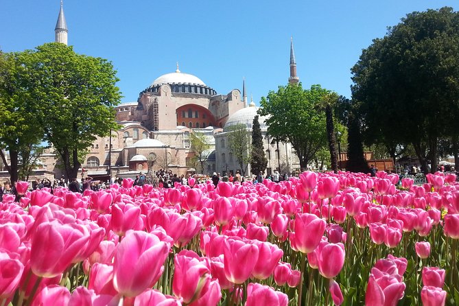 Istanbul Private Tours: 1, 2 or 3 Day Highlights - Private Vehicle Upgrade