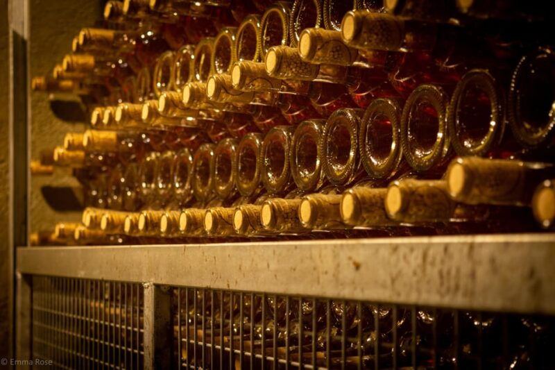 Istanbul: Private Wine Tasting Day Trip to Tekirdag - Good To Know  