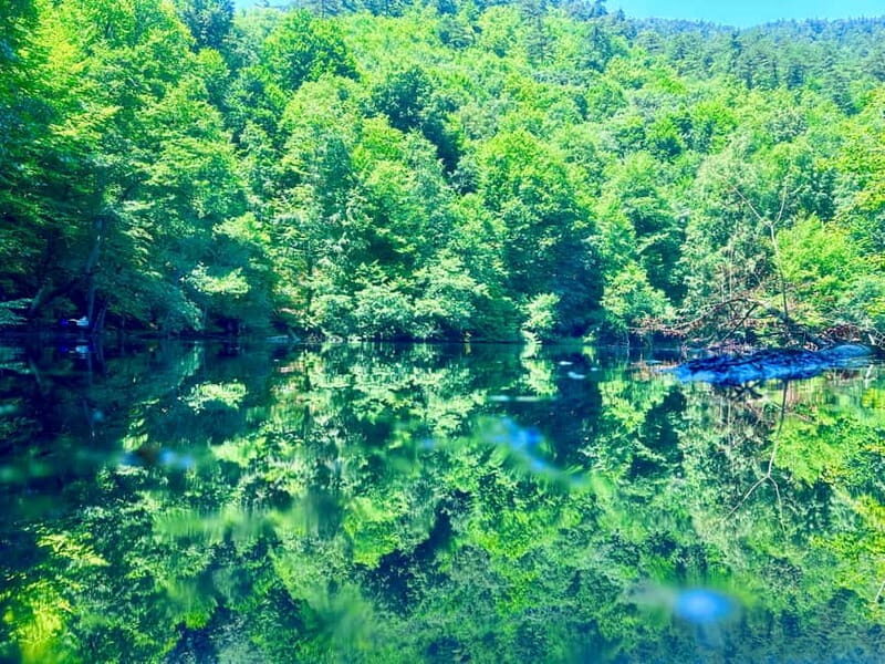 Istanbul: Sapanca, Bolu, Safranbolu and Amasra guided tour - Good To Know