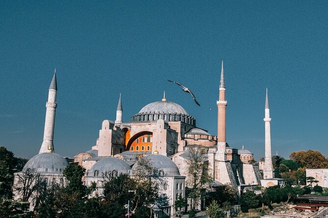 Istanbul Shore Excursion: Half Day Private Guided Tour From Port - Pricing and Group Size