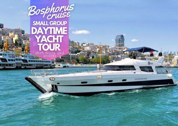 Istanbul: Small Group Daytime Yacht Cruise W/Fruits & Snacks - Good To Know