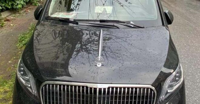 Istanbul Tailored Luxury: Personal Chauffeur-Driven Journey - Bosphorus Scenic Drives
