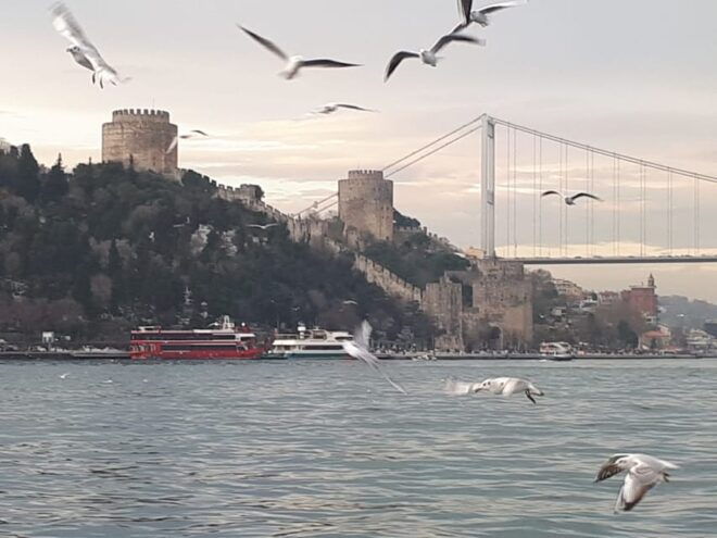 Istanbul True Discovery Tour - Customer Reviews