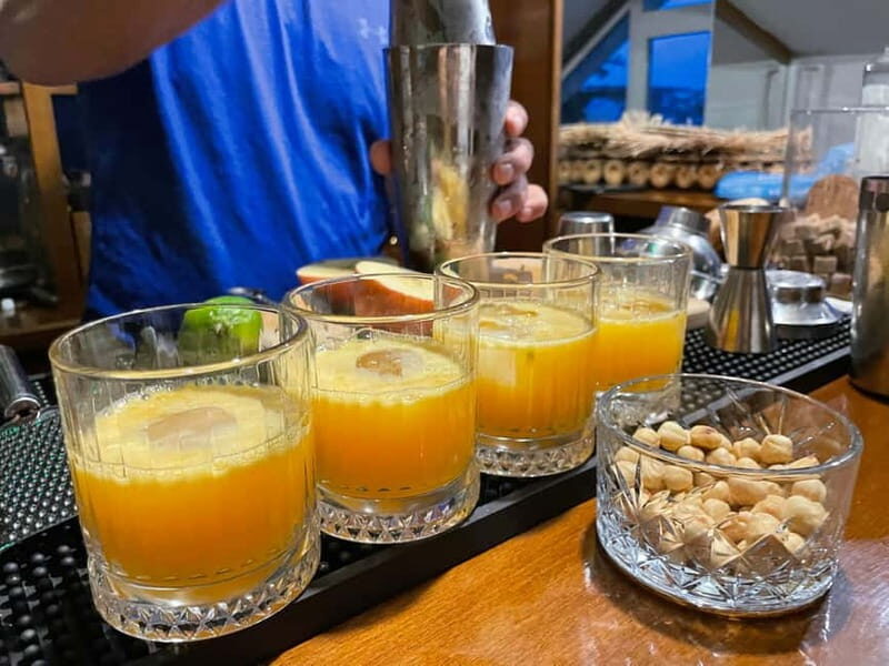 Istanbul: Turkish Cocktail Workshop with Locals at Home Bar - A Deeper Look at the Istanbul Cocktail Workshop