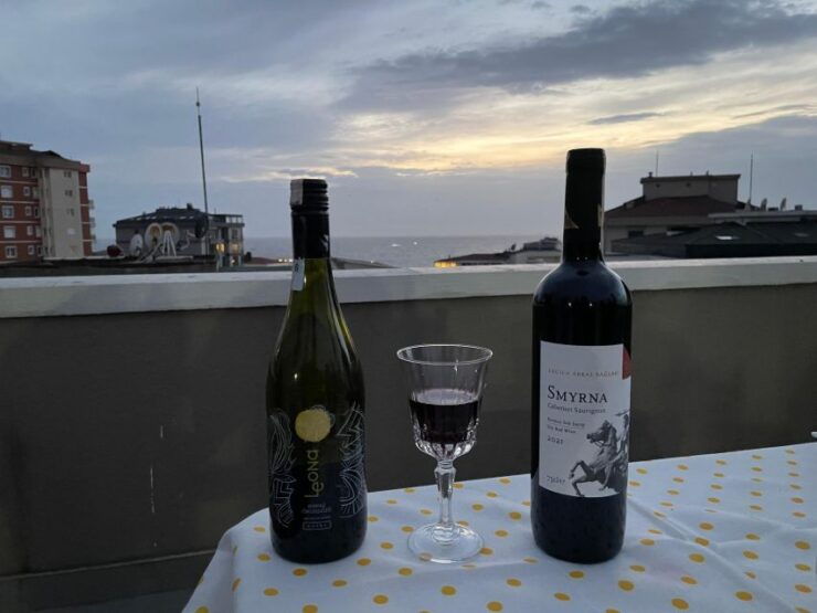 Istanbul Wine Tasting at Home With Local Family - Experience Istanbul Like a Local