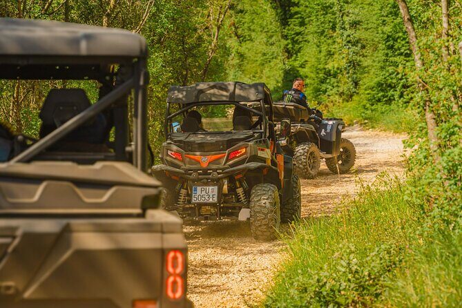 Istra Buggy Tour with a Local Guide - Final Thoughts