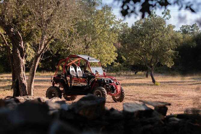 Istra Buggy Tours - Fazana - Price Details