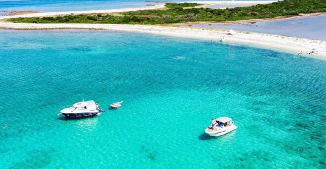 Istria Coast: Speedboat Tour - Experience and Amenities