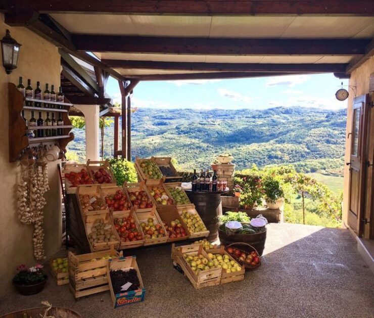 Istria: Guided Tour of Inner Istria With Food Tasting - Activity Details