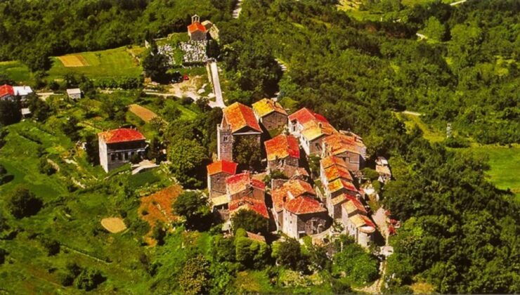 Istria Highlights Tour From Rijeka or Pula - Experience Highlights in Istria