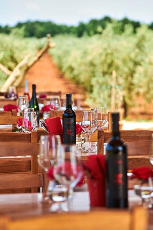Istria: Pervino Wine Tasting - Good To Know