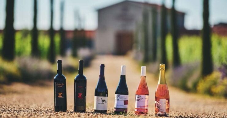 Istria: Pervino Wine Tasting - Wine Tasting Experience