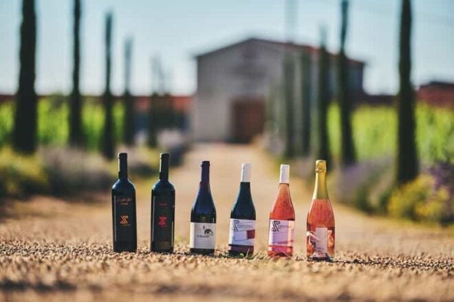 Istria: Pervino Wine Tasting - Featured Wine Varieties