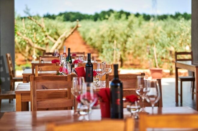 Istria: Pervino Wine Tasting - Charcuterie and Pairings