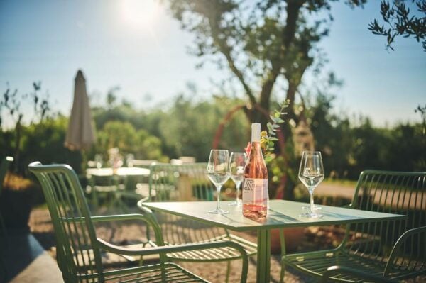 Istria: Pervino Wine Tasting - Cellar and Vineyard Tour
