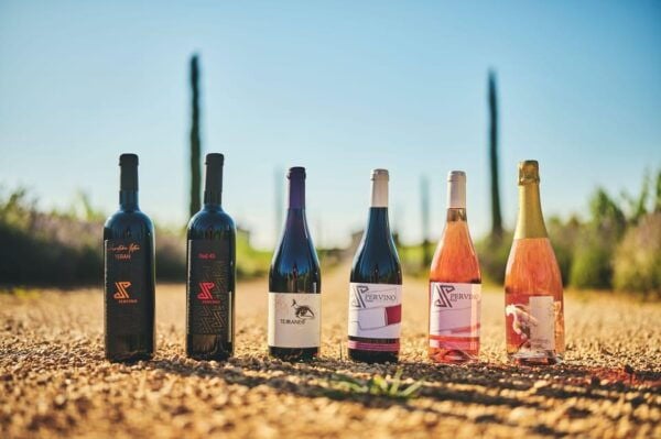 Istria: Pervino Wine Tasting - Booking Information