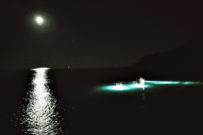 Istria Sea Canyon Illuminated Kayak Tour by Night - Additional Tour Info