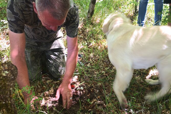 Istria - Truffles: Hunting & Cooking & Tasting, Slovenia - Important Details and Cancellation Policy