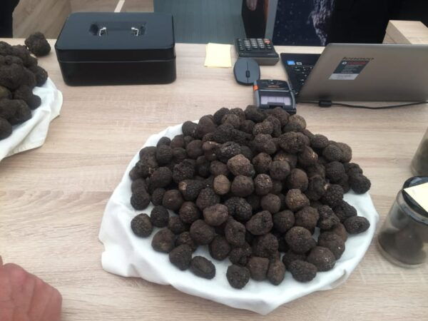 Istria Wine Tour From Crikvenica, Island Krk and Rijeka - Frequently Asked Questions