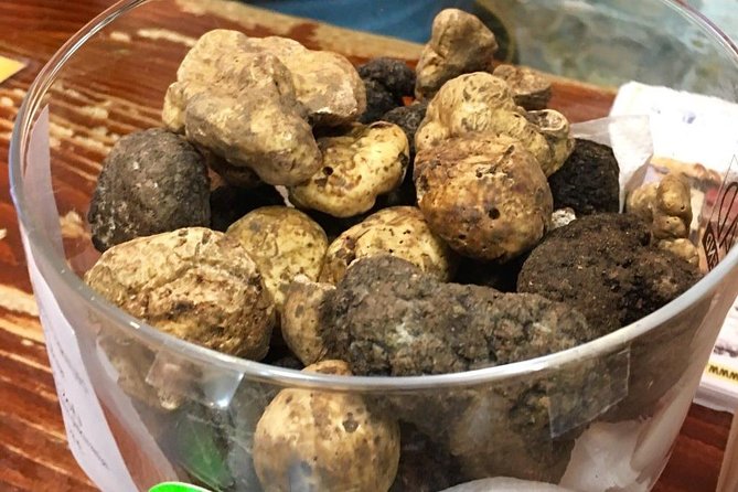 Istrian Hill Top Cities Tour With Truffle and Olive Oil Tasting - Tour Highlights