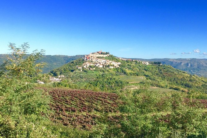Istrian Hill Top Cities Tour With Truffle and Olive Oil Tasting - Inclusions and Itinerary