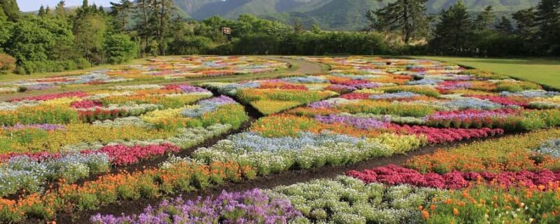 ita: Lantern-Lit Towns and Christmas Lights Tour - Practical Details: What You Need to Know