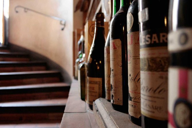 Italian Wine Tasting in Milan - The Sum Up