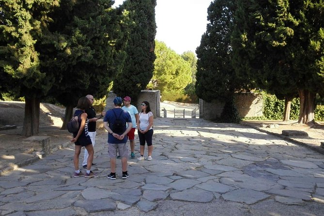 Italica 2-Hour Private Guided Tour From Seville - Additional Information