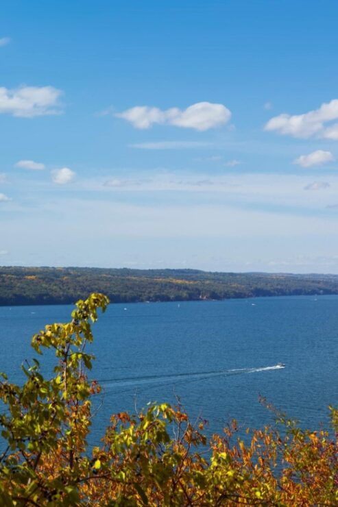 Ithaca Family Adventure: Fun & Discovery Walk - Tour Highlights