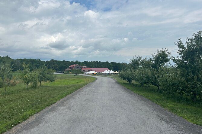 Ithaca to Wine Country Guided Finger Lakes Tasting Experience - Why This Tour Stands Out