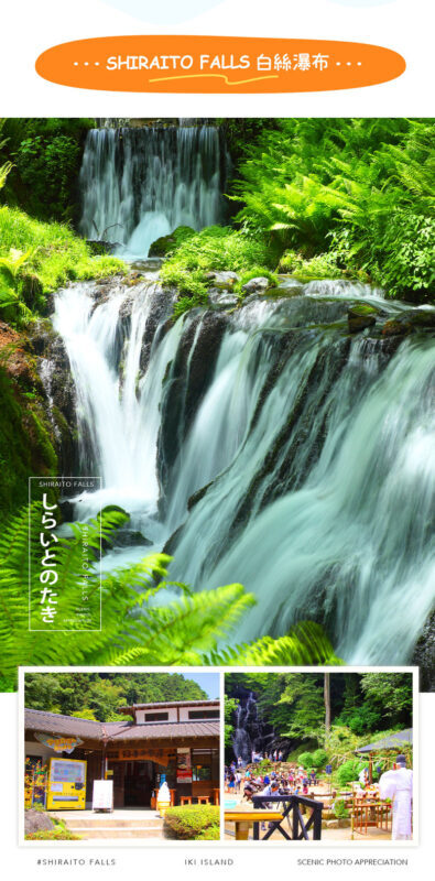 Itoshima Coast & Nature: Shiraito Falls, Meoto Rocks & Totoro Trail - Totoro Trail, a short walk with a viewpoint