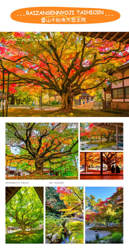 Itoshima Coast & Nature: Shiraito Falls, Meoto Rocks & Totoro Trail - Guides, language and the value of local context