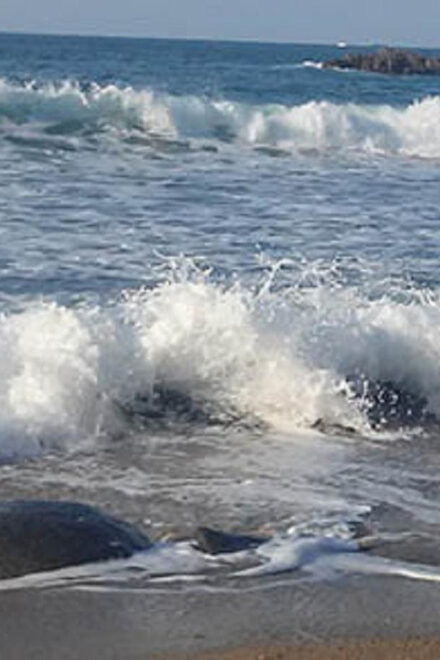 Itoshima: Customized Private Tour With a Local Guide - Transportation Details