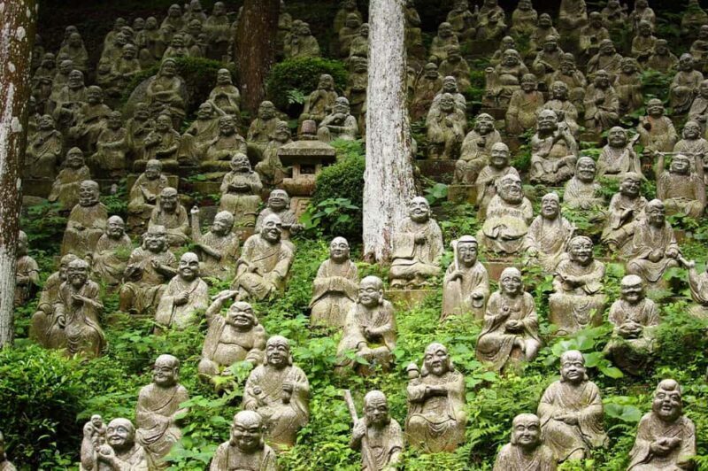 Itoshima Day Trip from Fukuoka: Nature & Coastal Scenery - Totoro Forest Trail: Ghibli Magic Comes Alive