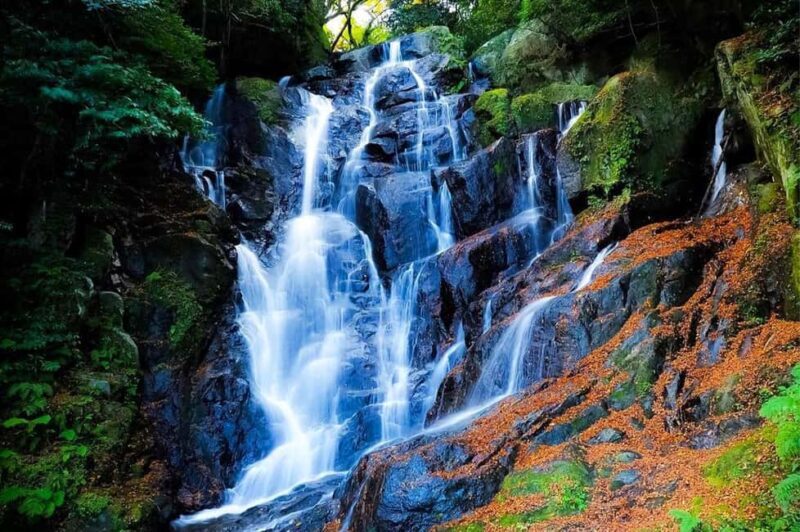 Itoshima Day Trip from Fukuoka: Nature & Coastal Scenery - Frequently Asked Questions