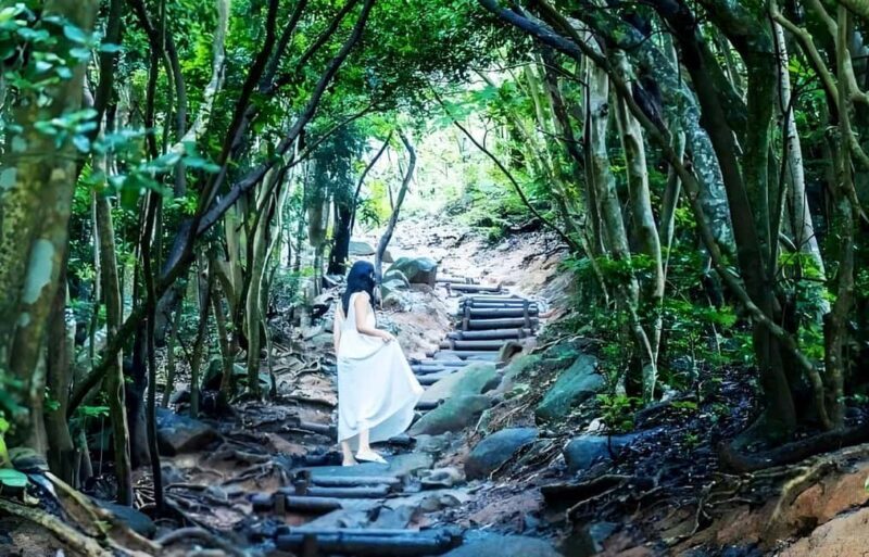 Itoshima Day Trip from Fukuoka: Nature & Coastal Scenery - Final Thoughts