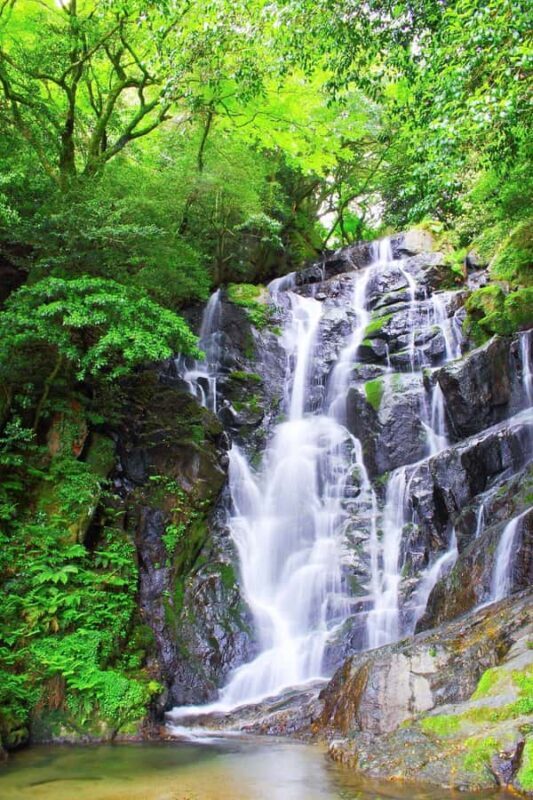 Itoshima Day Trip from Fukuoka - Shiraito Falls: Nature’s Refreshing Showstopper