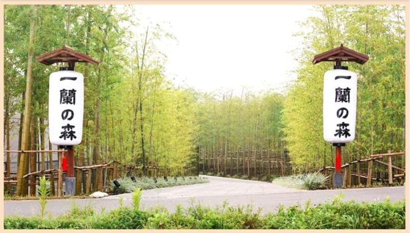 Itoshima Day Trip from Fukuoka - Return Journey & Reflection