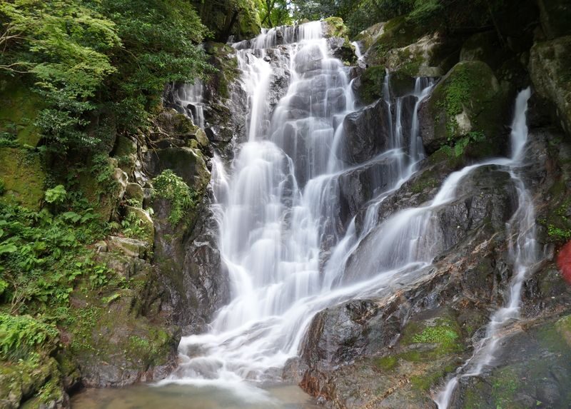 Itoshima | Shiraito Falls & Forest Cafe & Totoro Forest & Grilled Seafood & Handmade Flower Salt Pudding & Sakurai Futamigaura & Angels Wings & Coconut Tree Swing Day Trip (Departing from Hakata Station) Cantonese, Mandarin & English Guide - A long seafood lunch by the water