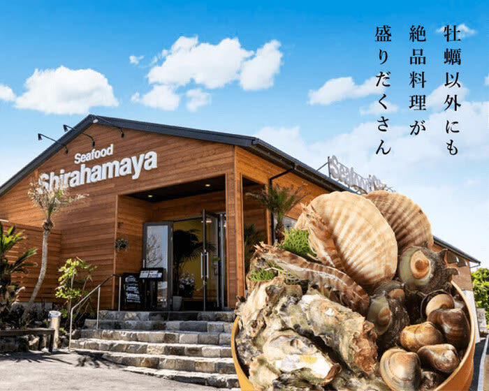 Itoshima | Shiraito Falls & Forest Cafe & Totoro Forest & Grilled Seafood & Handmade Flower Salt Pudding & Sakurai Futamigaura & Angels Wings & Coconut Tree Swing Day Trip (Departing from Hakata Station) Cantonese, Mandarin & English Guide - Flower salt pudding and the Tottan workshop