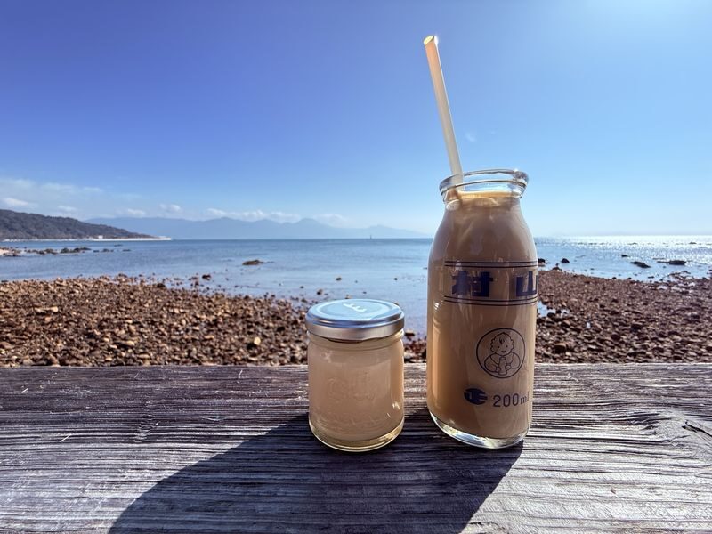Itoshima | Shiraito Falls & Forest Cafe & Totoro Forest & Grilled Seafood & Handmade Flower Salt Pudding & Sakurai Futamigaura & Angels Wings & Coconut Tree Swing Day Trip (Departing from Hakata Station) Cantonese, Mandarin & English Guide - Sakurai Futamigaura and the coastal photo stops