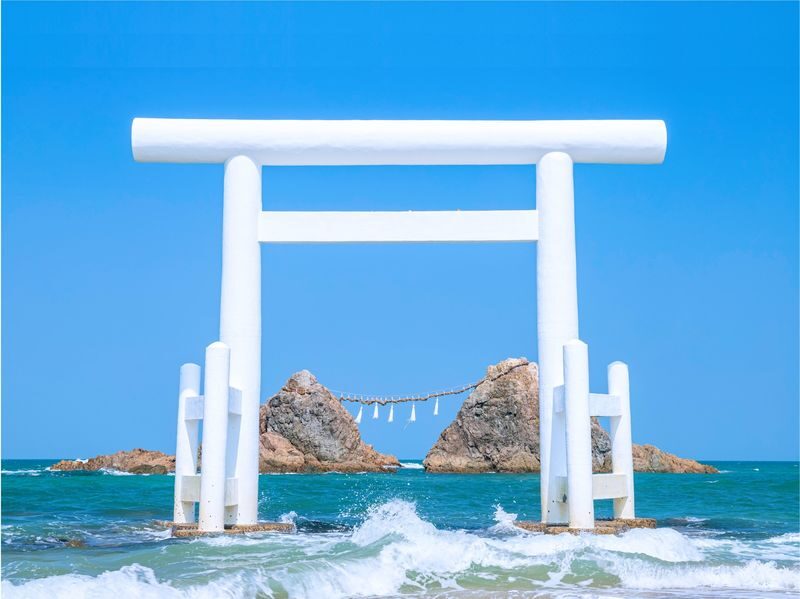 Itoshima | Shiraito Falls & Forest Cafe & Totoro Forest & Grilled Seafood & Handmade Flower Salt Pudding & Sakurai Futamigaura & Angels Wings & Coconut Tree Swing Day Trip (Departing from Hakata Station) Cantonese, Mandarin & English Guide - Who should book this Itoshima day trip