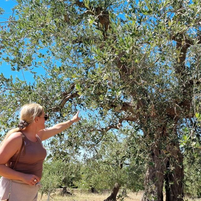 Itria Valley: Visit the Olive Grove & Taste Quality EVO Oil - Immerse in Apulian Countryside Charm