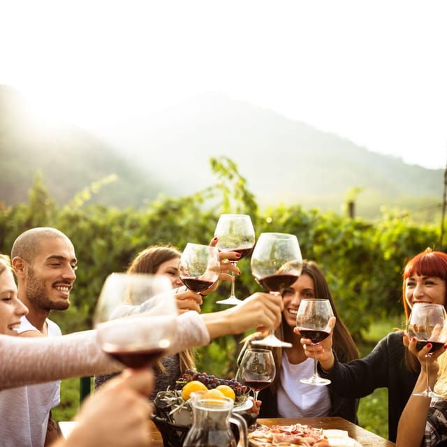 Itria valley: Wine and Olive Oil Tour and Tasting - The Experience in Detail: Pros & Cons