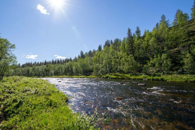 Ivalo Bushcraft & Survival Skills Camp - Learning Wilderness Skills